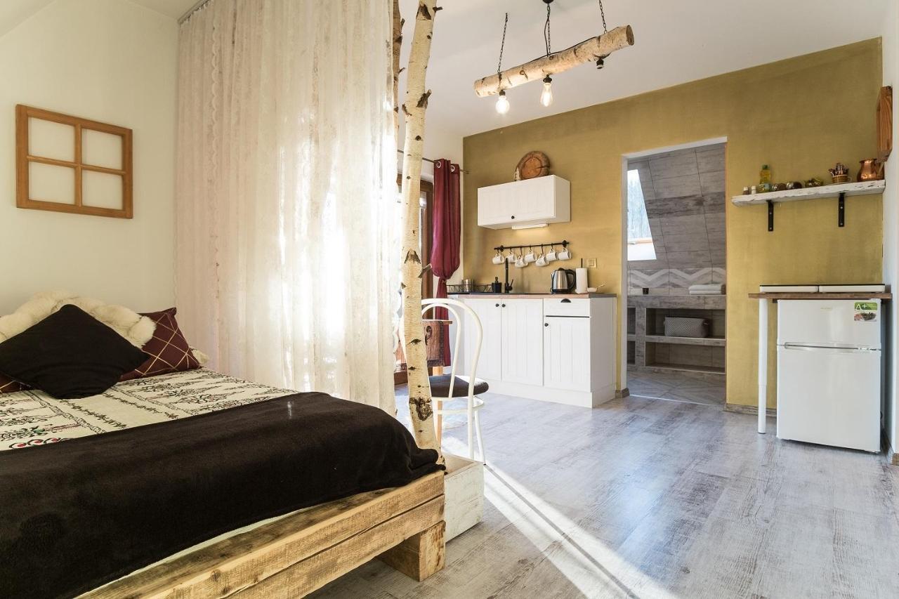 Apartamenty Magiczny Kacik โปโรนิน ภายนอก รูปภาพ