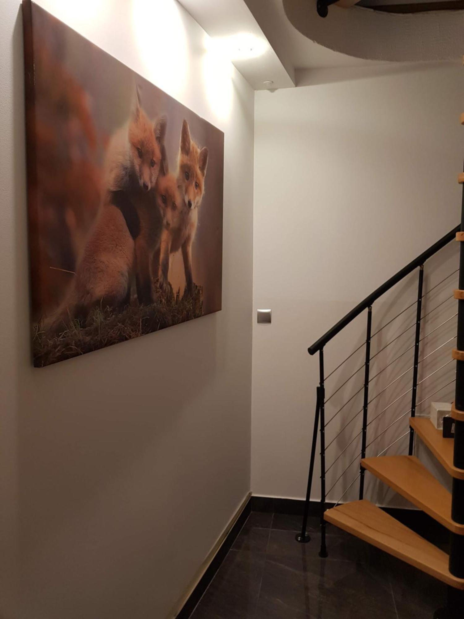 Apartamenty Magiczny Kacik โปโรนิน ภายนอก รูปภาพ